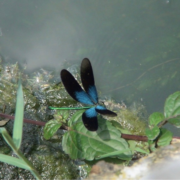 Meet your Posher, Emily - Picture 1 of 1